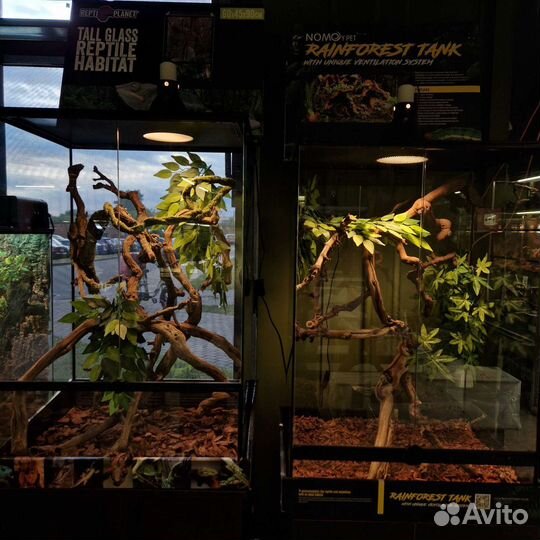 Террариумы для рептилий