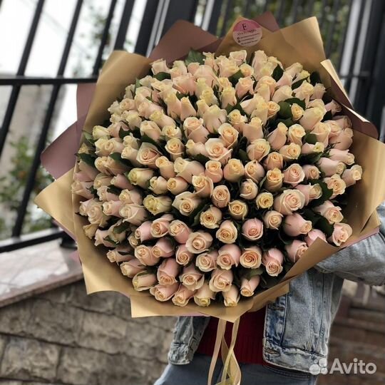 51/101/201 роза талея бежевая