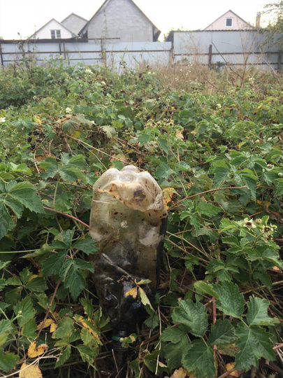 Участок 15 сот. (ИЖС)