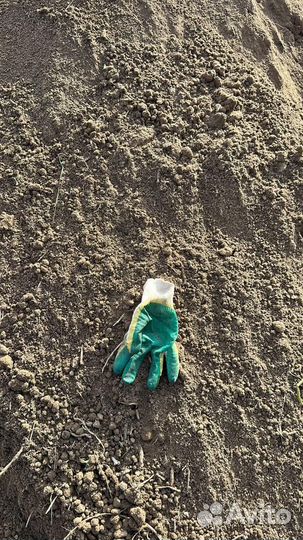 Земля для газона