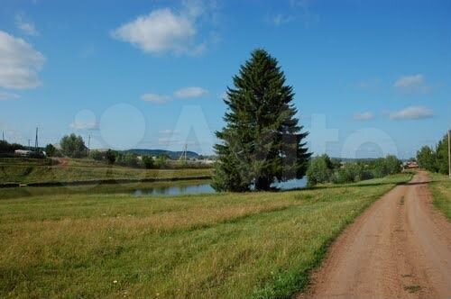 Участок 25 сот. (СНТ, ДНП)