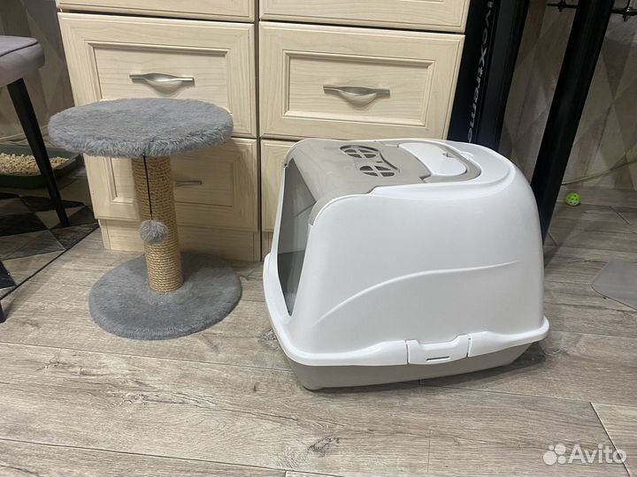 Переноска,лоток,туалет,когтеточка