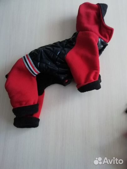 Зимний комбинезон, шапочка, ботинчки, шлейка