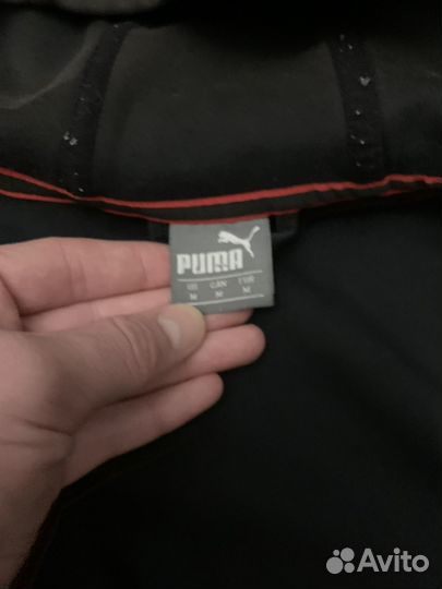 Зипхуди puma ferrari