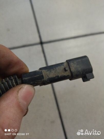 Датчик abs задний правый Chevrolet Aveo Т300