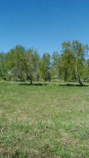 Участок 15 сот. (ИЖС)