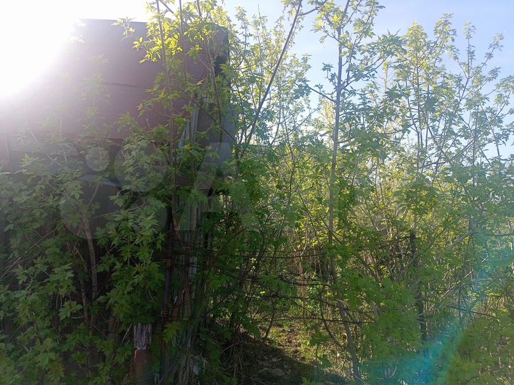 Участок 5,6 сот. (СНТ, ДНП)