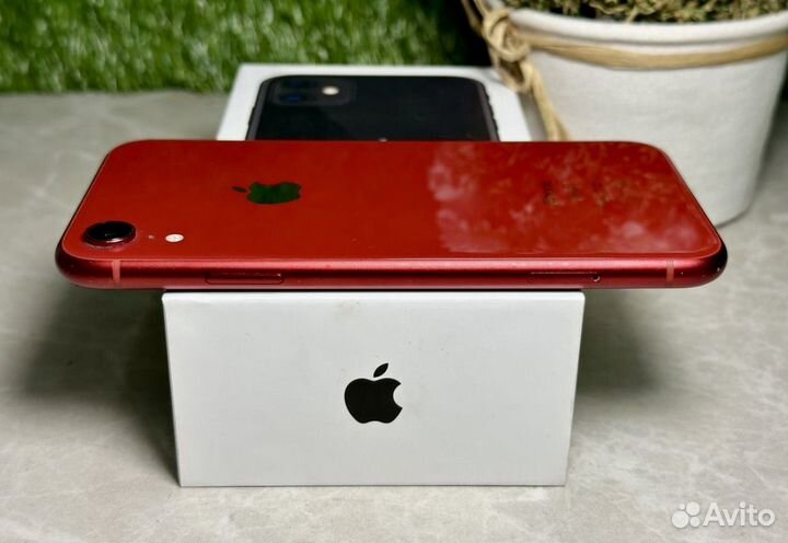 iPhone Xr, 128 ГБ