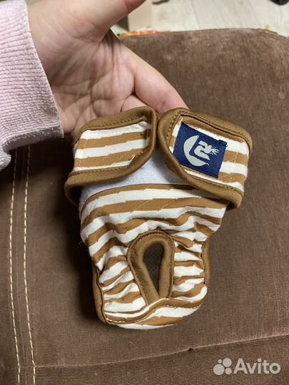 Трусики для собак