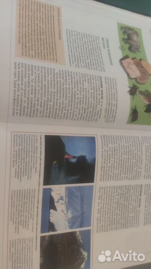 Энциклопедия для детей - Биология - Новая