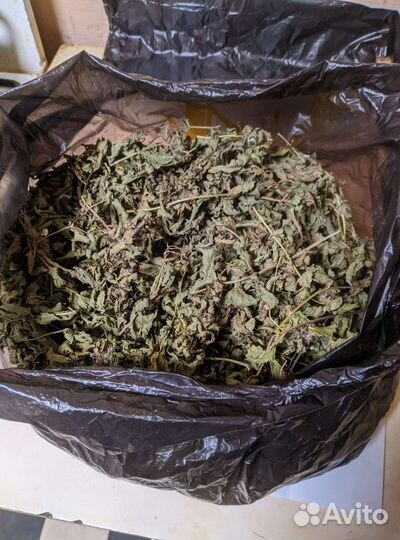 Мята сушеная