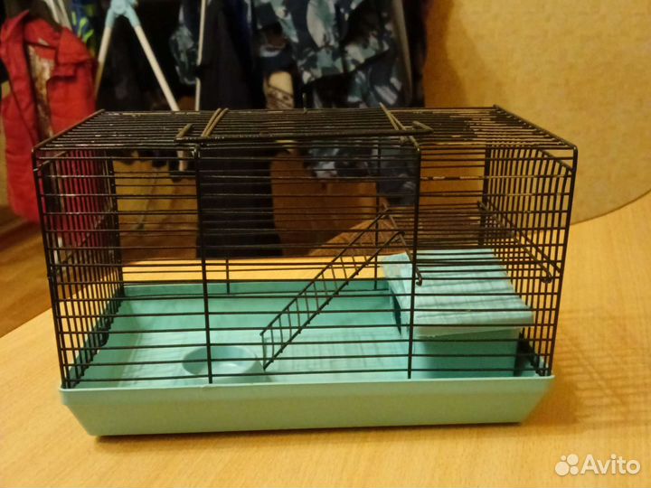 Клетка для джунгарского хомяка