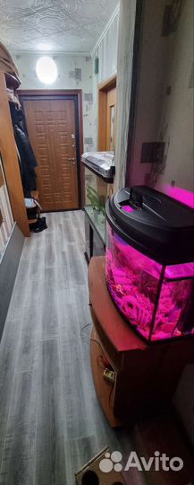 Аквариум панорамный и тумба фирмы sunsun 300литров