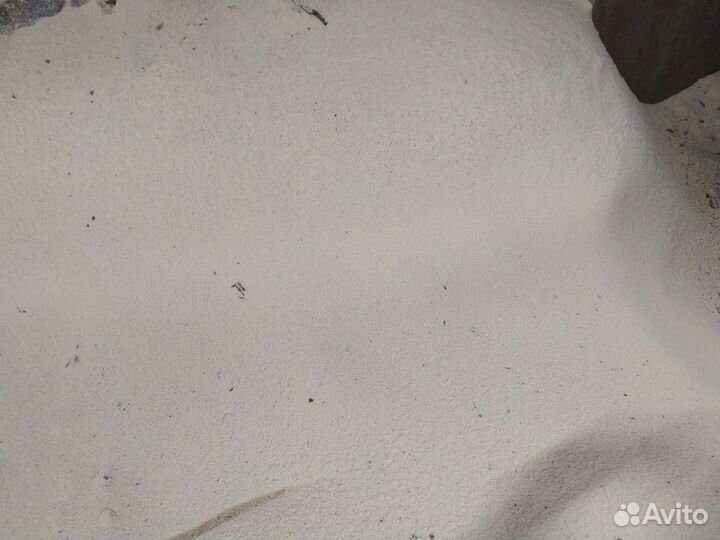 Горбыль, опилки, необрезная доска