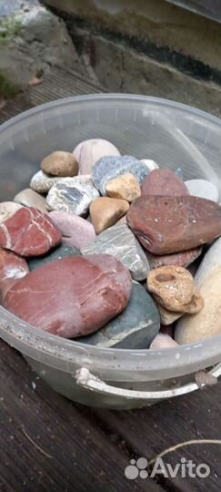 Морские ракушки и камушки