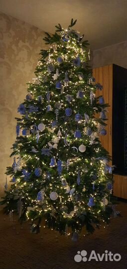 Елка под ключ. Аренда елки