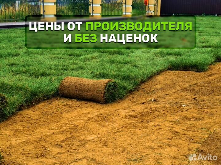 Рулонный газон. От производителя