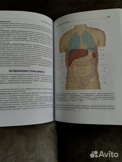 Топографическая анатомия и оперативная хирургия