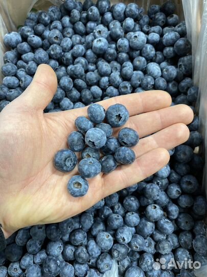 Доставка экзотических и свежих фруктов