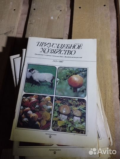 Журнал приусадебное хозяйство