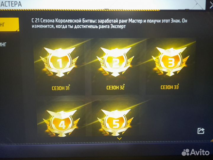 Тренер по фри фаеру