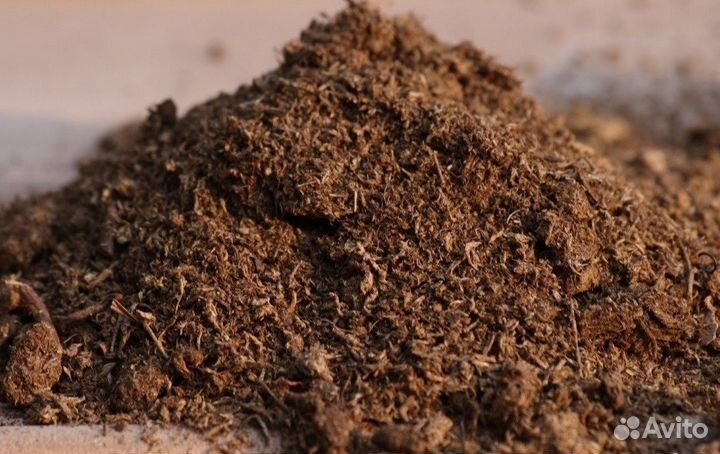 Прелые опелки