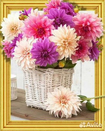 Картины алмазная мозаика