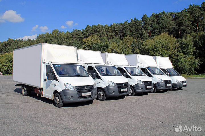 Водитель на своей газели