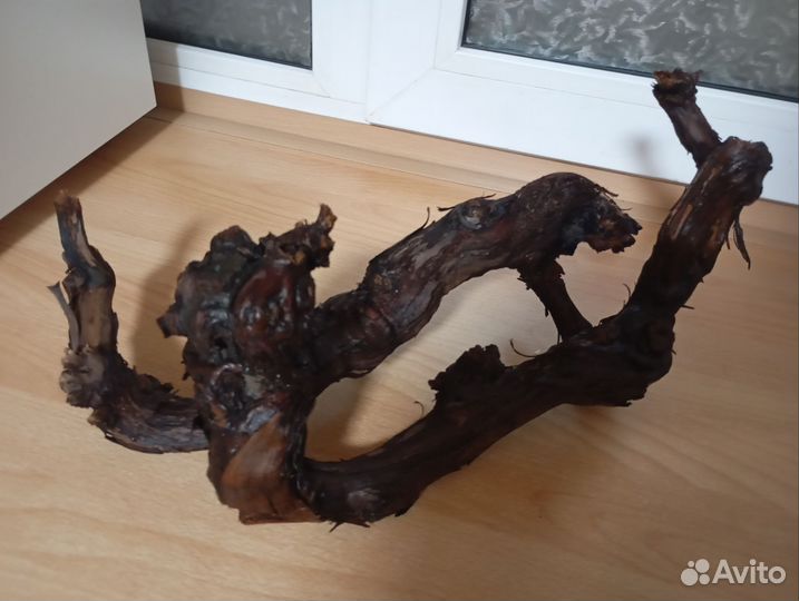 Коряга виноградный ствол