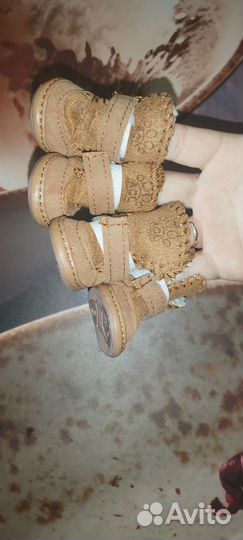 Сапожки зимние замша