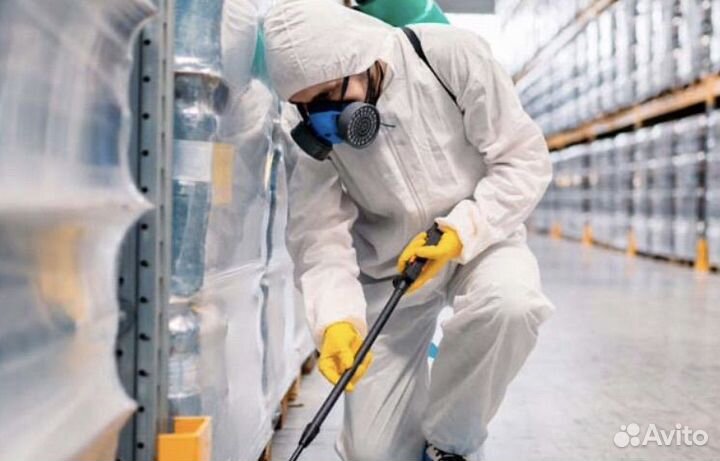 Дезинфекция Дезинсекция Дератизация
