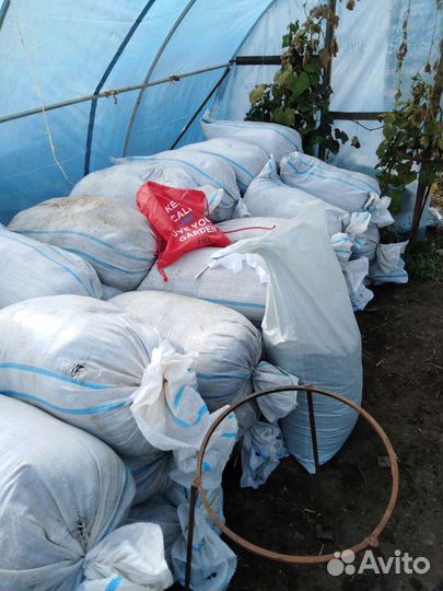 Черви для рыбалки