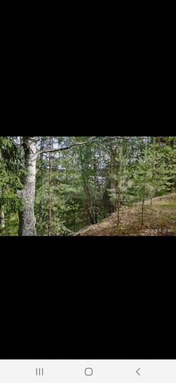 Участок 24 сот. (ИЖС)