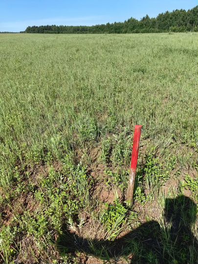 Участок 19 сот. (ИЖС)