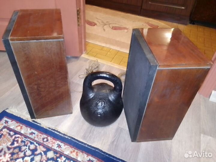 Акустическая система брз 15ас-4