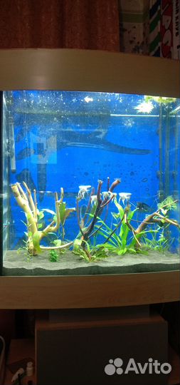 Аквариум с тумбой 270 литров
