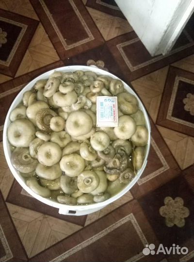 Грибы соленые