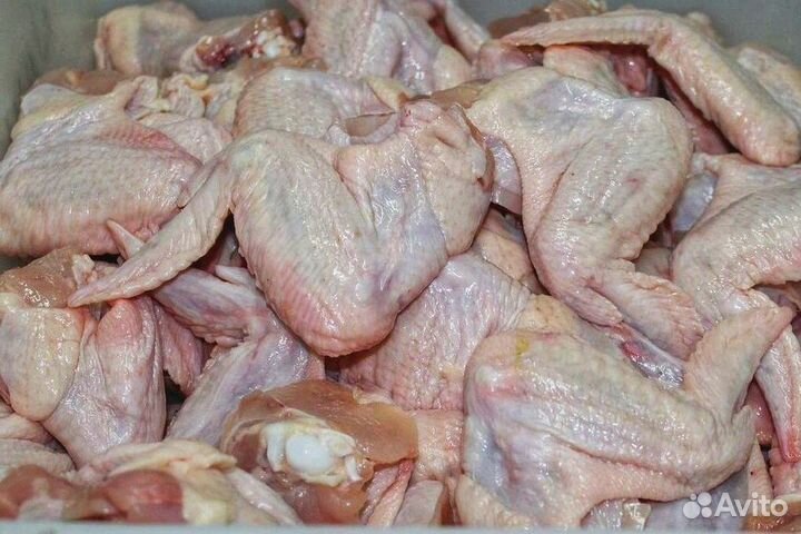 Куриное крыло,бедро,голень,куры,домашнее мясо свин