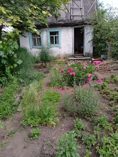 Участок 5 сот. (СНТ, ДНП)