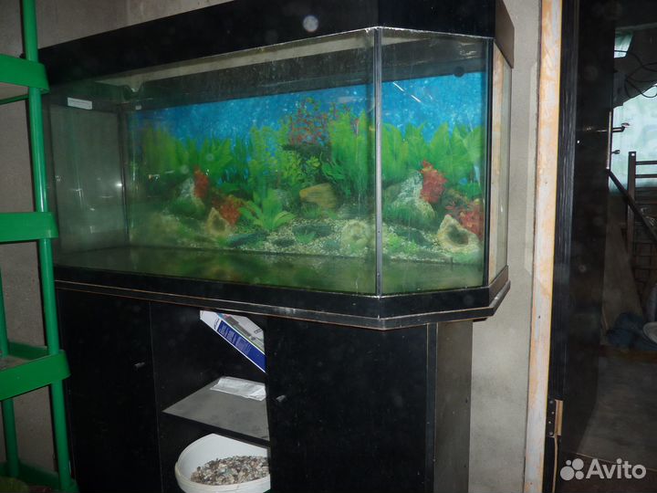Аквариумы 200