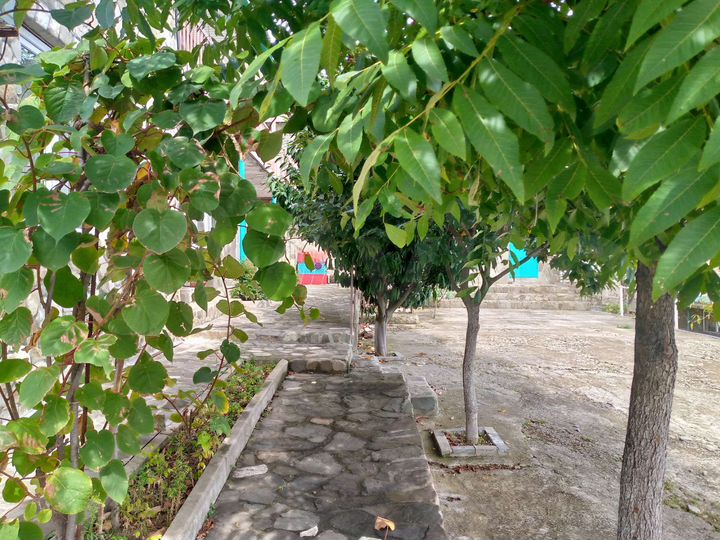 Дом 126 м² на участке 6 сот.