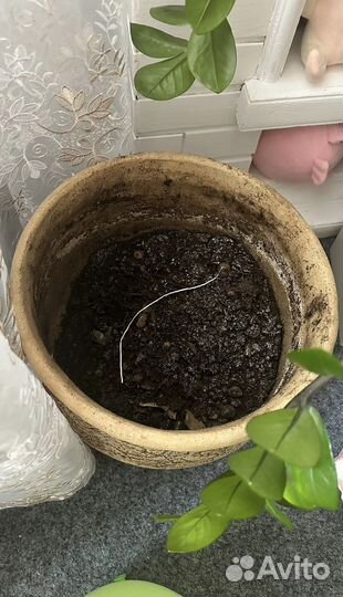 Большой глиняный горшок