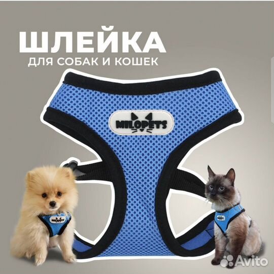 Шлейка для собак и кошек