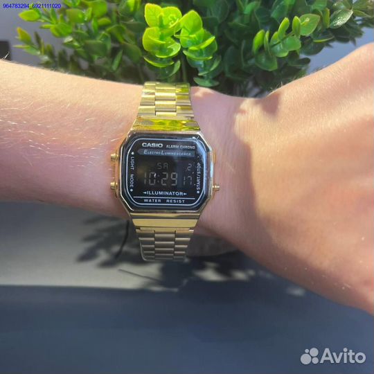 Часы Casio illuminator