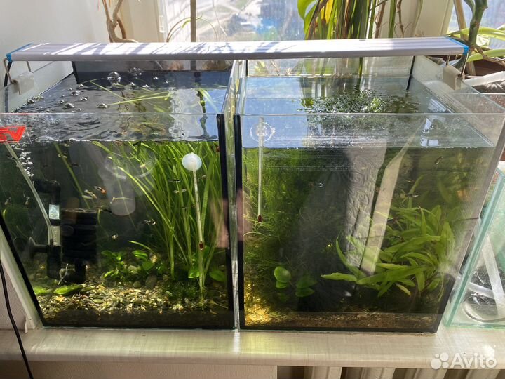 Аквариум