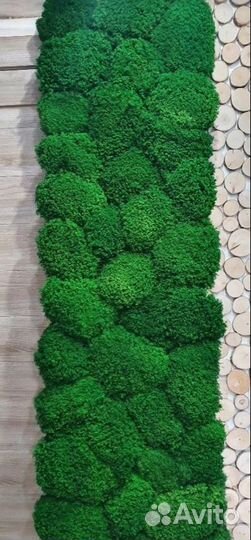 Стабилизированный мох производство, эко панели