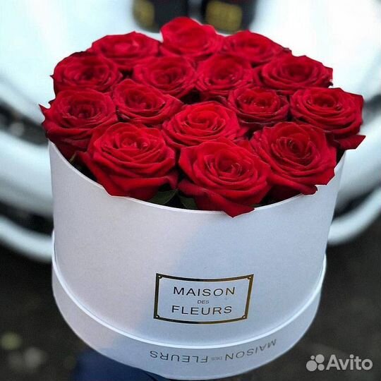 Цветы, роза