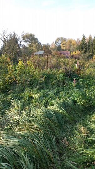 Дом 52 м² на участке 18 сот.