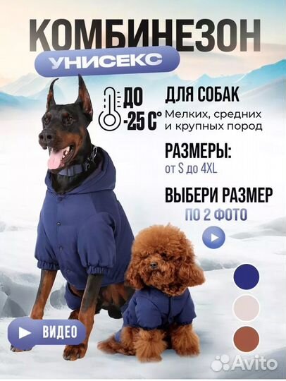 Одежда для крупных собак