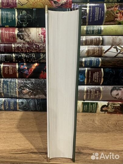 Я. Гашек - Похождения бравого солдата Швейка